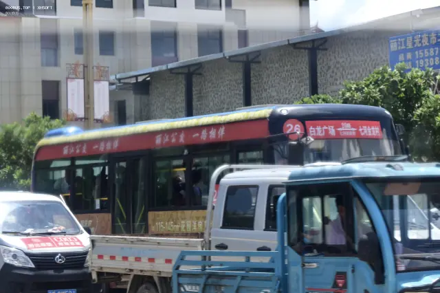 800BUS