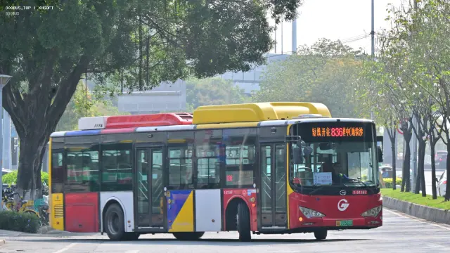 粤A22561D