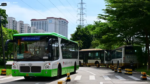粤A24610D