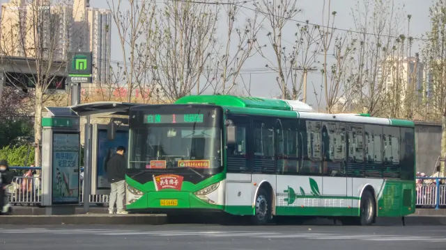 冀A 5646Z