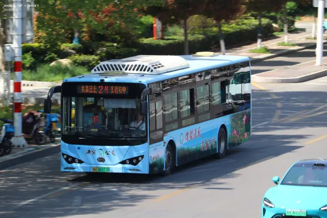 800BUS