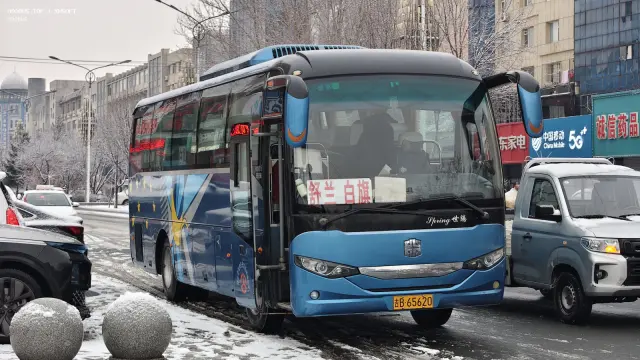 800BUS