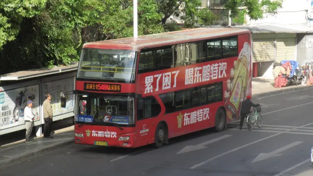800BUS