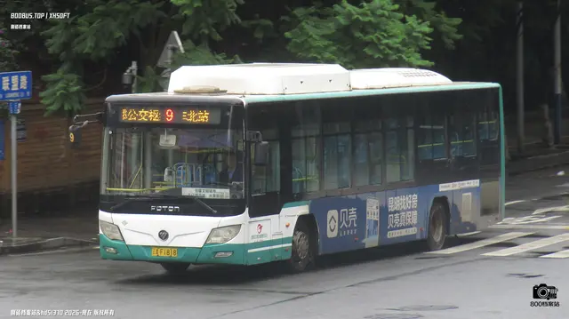 800BUS