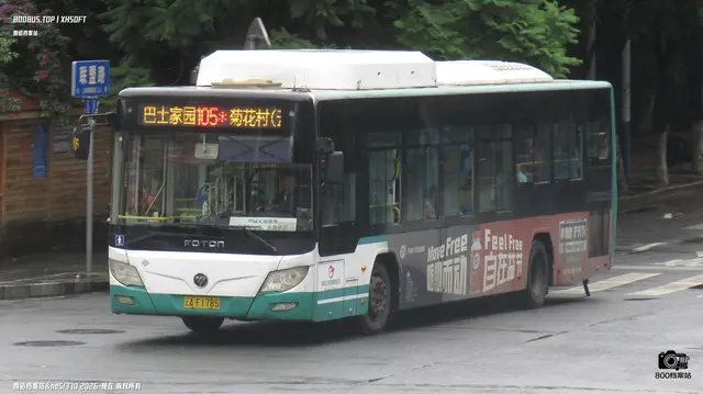 800BUS