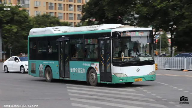 800BUS