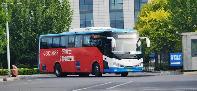 800BUS