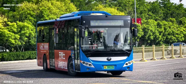 冀B 08833D