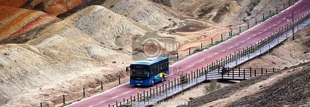 甘G 19381