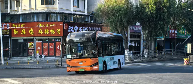 青A 08203D