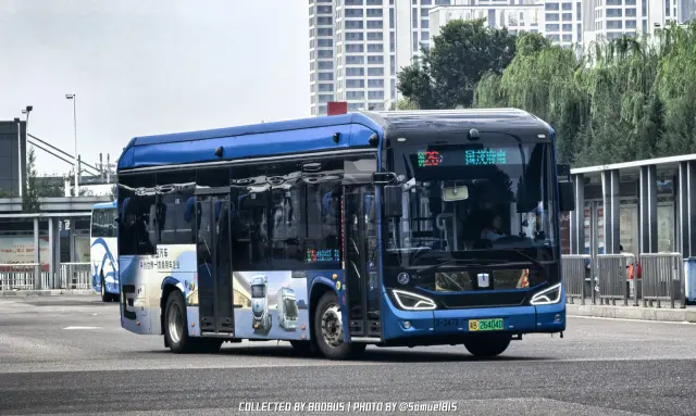 冀B 26404D