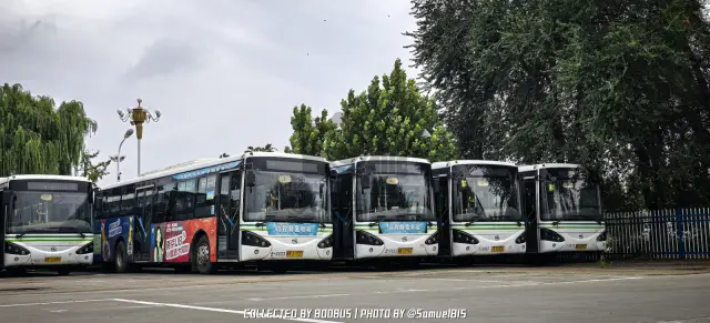 冀B 2102C等
