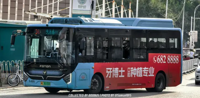 冀B 26102D