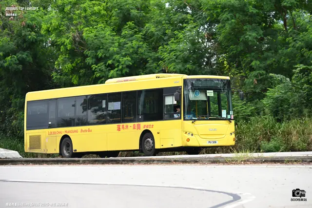 800BUS