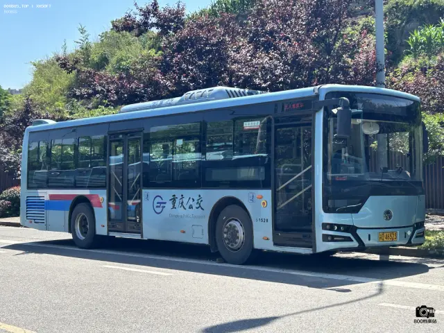 800BUS