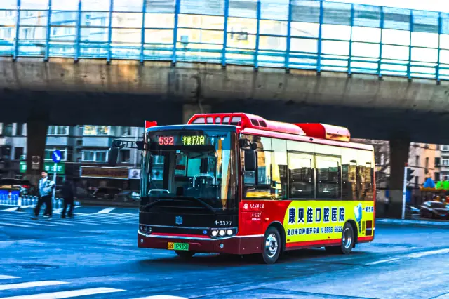 辽B 02935D