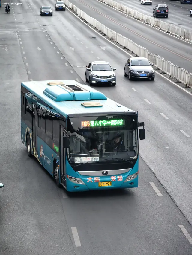 辽B N8925