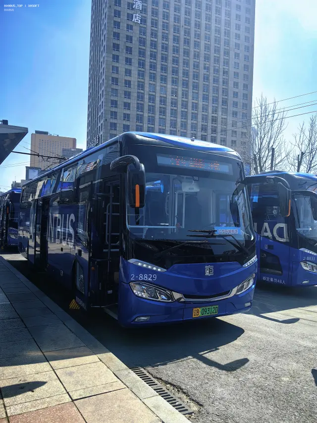 800BUS