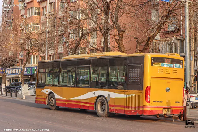 辽B L3875