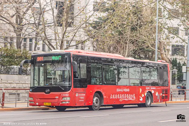 辽B L1336
