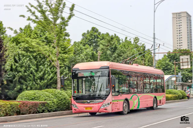 辽B L1182