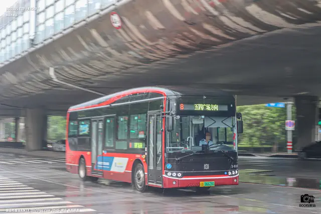 辽B 06628D