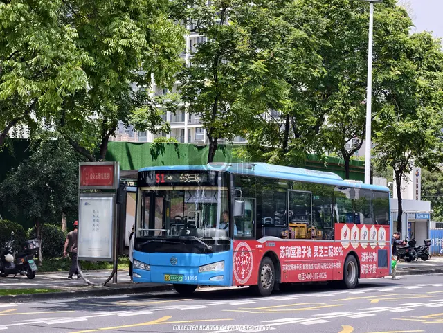 苏B 00695F