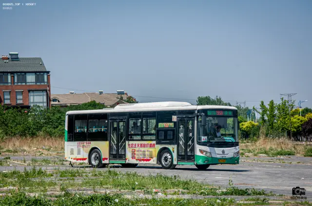 800BUS