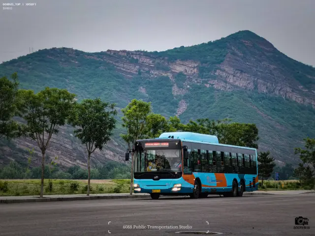 800BUS
