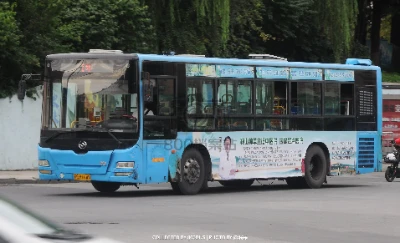 辽C B1640