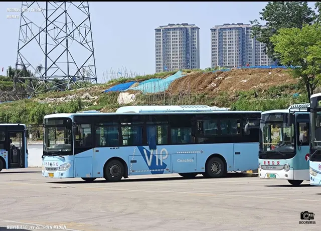 皖A 6E166