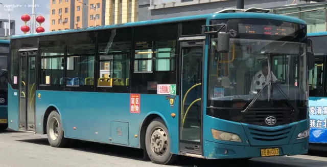 800BUS
