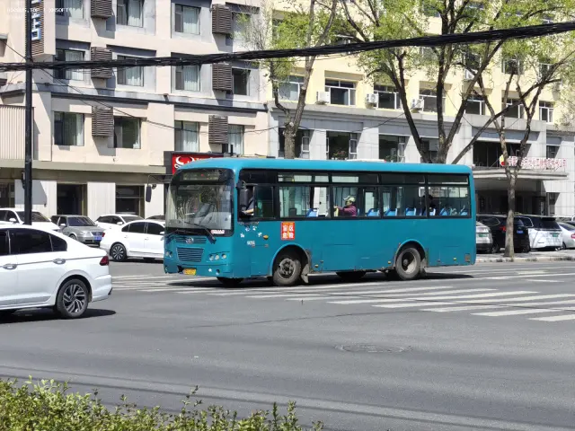 800BUS