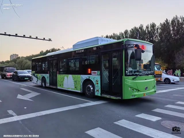 吉B 08608D
