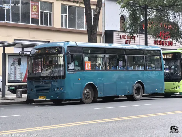 800BUS