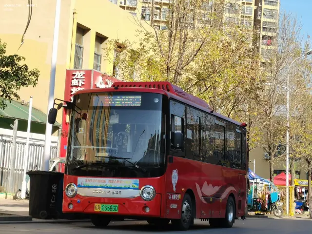 800BUS