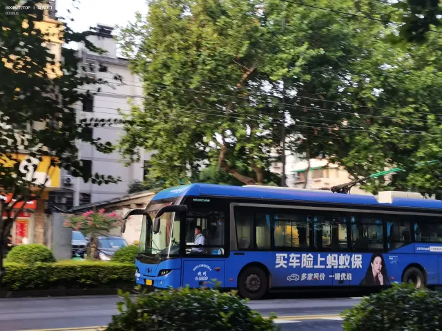 800BUS