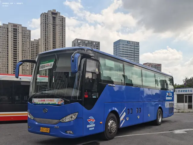 800BUS