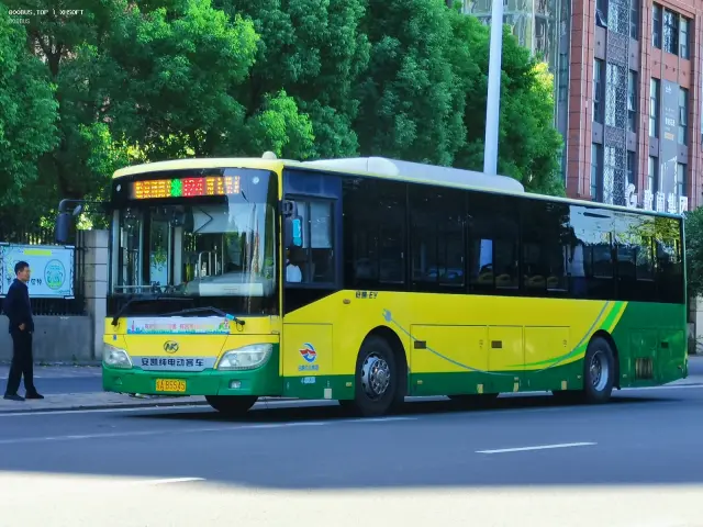 800BUS