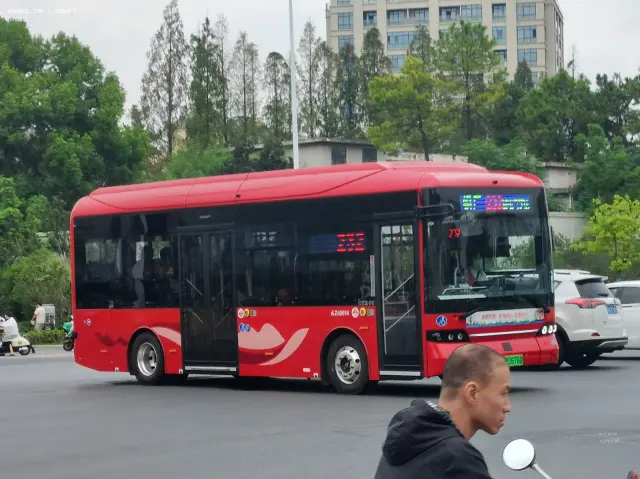 800BUS