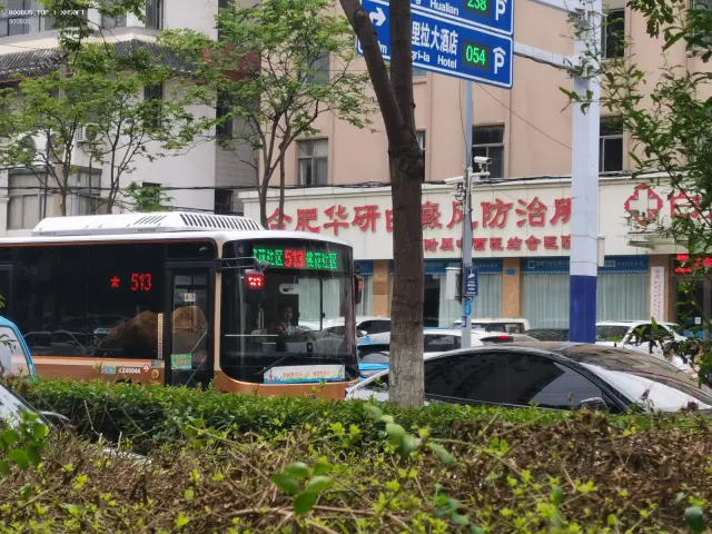 800BUS