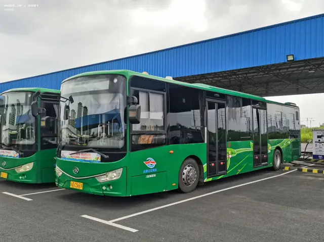 800BUS