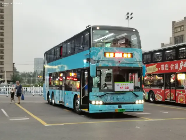 800BUS