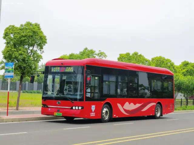 800BUS