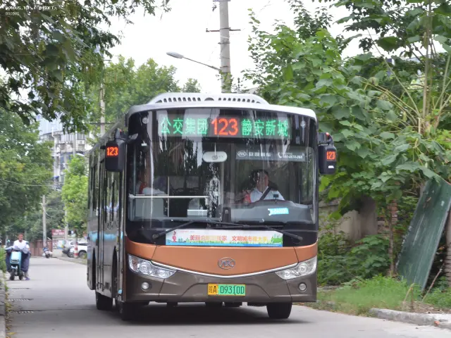 800BUS