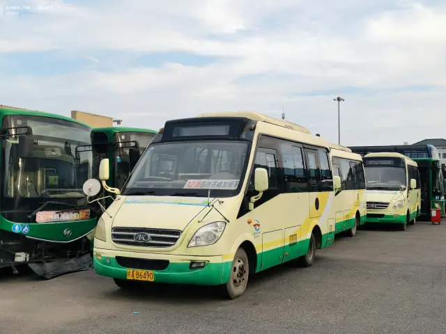 800BUS