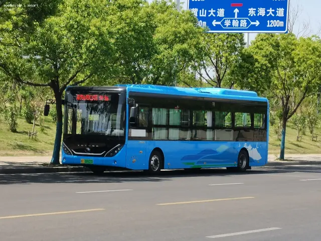 800BUS