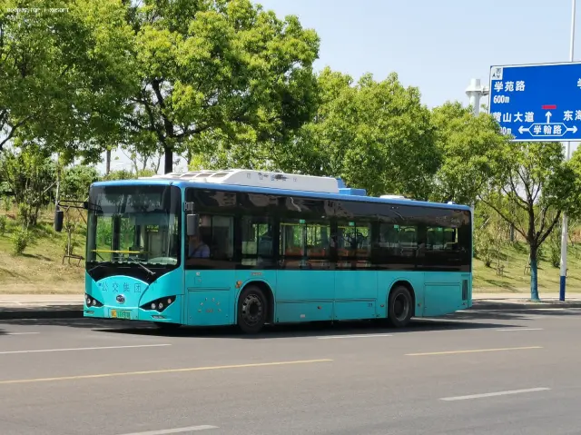 800BUS