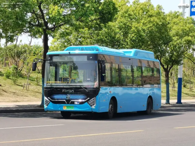 800BUS