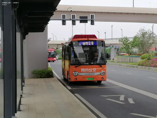 800BUS